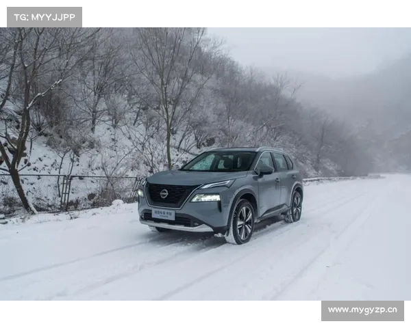 全新奇骏终于来了！车到中年也不再油腻